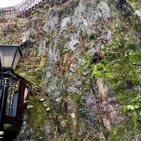 Honeypot In Centre Of