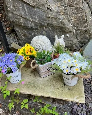 Honeypot In Centre Of * Bowness-on-Windermere